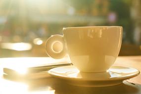 coffee cup in sunlight