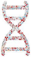 dna deoxyribonucleic drawing