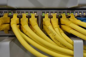 photo of yellow network cables