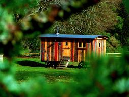 Wood Tree and small house
