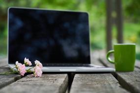 laptop and green cup on a wooden table in nature