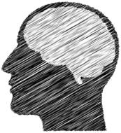 profile of male head with brain, black and white drawing