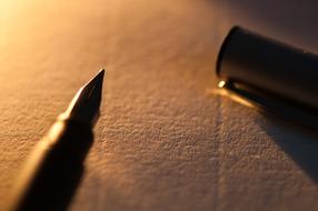 Diary Pen and Book