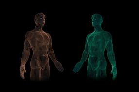 wireframe models of human bodies at darkness, render