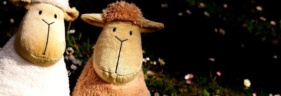 white and brown sheep as toys