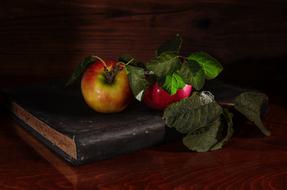 Apples and Notebook