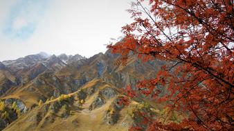 Tops Fall Mountains