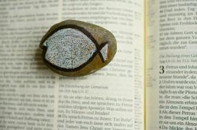 Stone Symbol Fish on a book