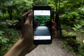 Bridge Gadget in Hand