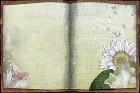 painted flowers and butterflies on the pages of the notebook