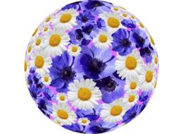 flowers nature graphic drawing
