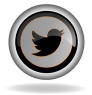 twitter icon on button, render