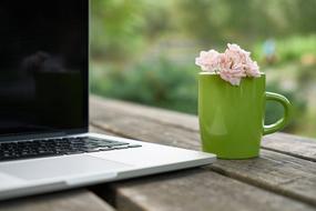 Flower pink Laptop