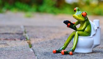 ceramic frog on the toilet