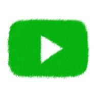 social networks icon green play drawing
