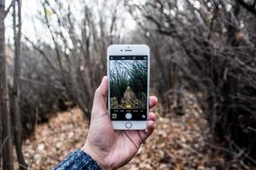 Phone Camera forest