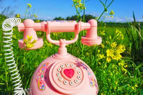 pink toy retro desk Phone on rapeseed field
