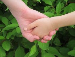 Hands of adult person and child together