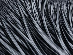fractal, abstract greyscale computer art