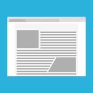 program browser window
