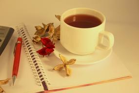 Tea Cup Drink and red pen dry flowers