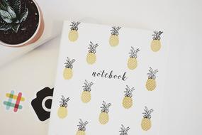 Pineapples notebook