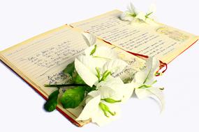 Poetry Book flowers