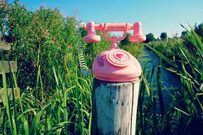 Phone Toy Vintage pink