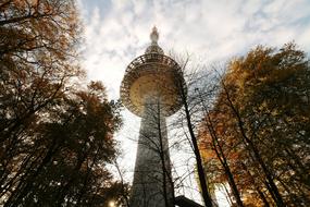 tv tower in park at fall, low angle view