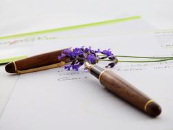 Purple Lavender Flowers on paper