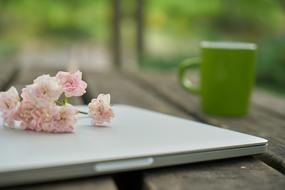 flowers on a gray laptop on a wooden table in a blurred background