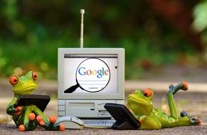 Colorful, cute and beautiful frogs with the devices, near the computer, with the colorful "Google" sign