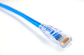 blue Ethernet cable close up