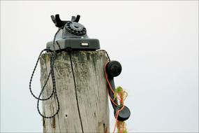 Close-up of the black retro phone, with the cable, on the wood pole, at white background