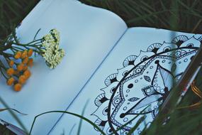Mandala Notebook on Grass