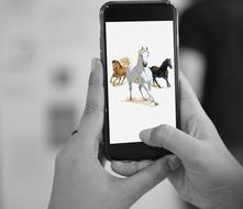 Black and white photo with the colorful and beautiful horses on the white screen of the smartphone