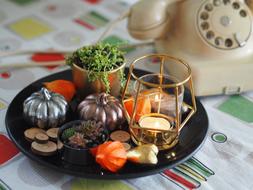 Colorful and beautiful decorations with pumpkins, near the retro phone, in autumn