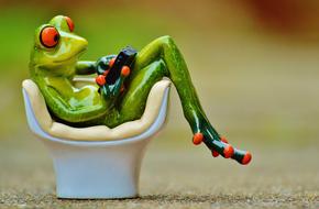 toy Frog with gadget sits on Chair