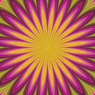 petal flower fractal background