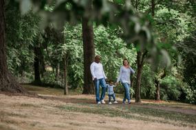 landscape of family in a forest