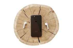 Iphone with headphones on the stump