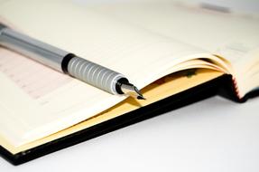 silver fountain pen on diary