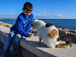 boy playing with a cat on the embankment