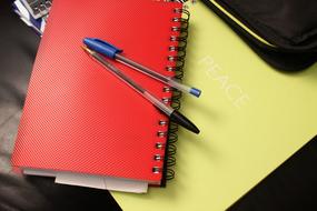 fountain pens on School Notebook