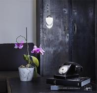 Lamp hanging over desk with Phone and Flower