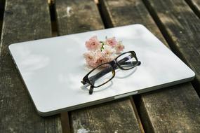 Laptop and Flowers and Eyewear