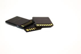 Black and gold SD cards at white background