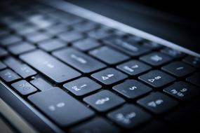 Close-up of the black and white keyboard keys, in light