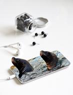 two seals looking out screen of Mobile Phone, collage