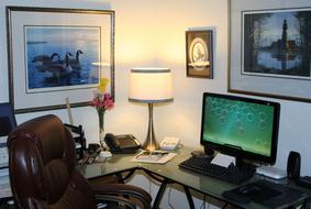 Interior of the home office, with the furniture, lamp and decorations